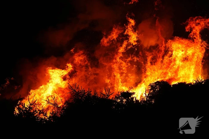 Kerstboom verbranding door brandweer