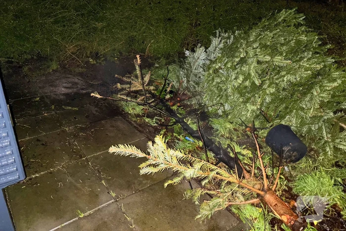 Kerstboom in brand snel geblust