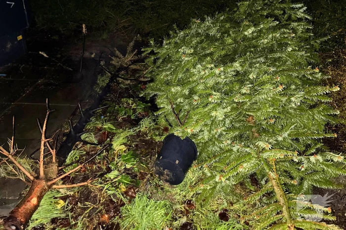 Kerstboom in brand snel geblust