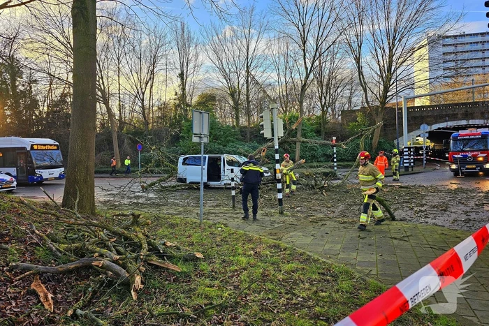 Omgevallen boom beschadigt bestelbus, weg tijdelijk afgesloten