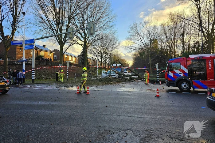 Omgevallen boom beschadigt bestelbus, weg tijdelijk afgesloten