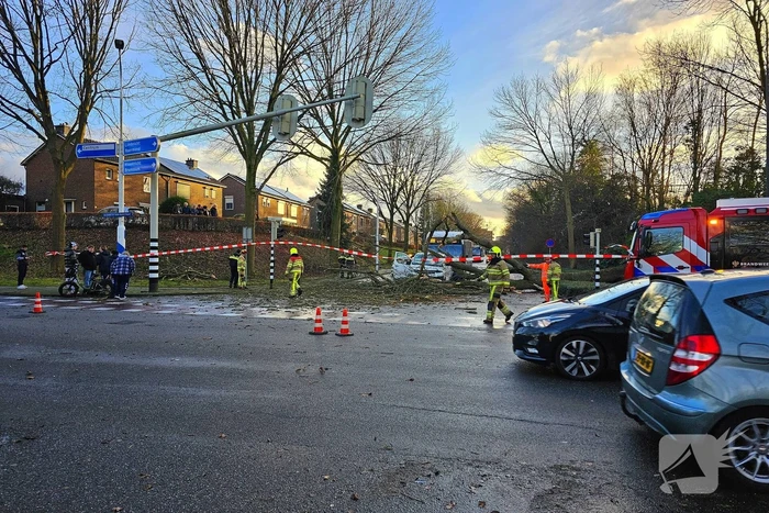 Omgevallen boom beschadigt bestelbus, weg tijdelijk afgesloten