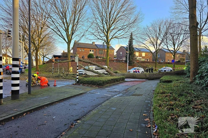 Omgevallen boom beschadigt bestelbus, weg tijdelijk afgesloten