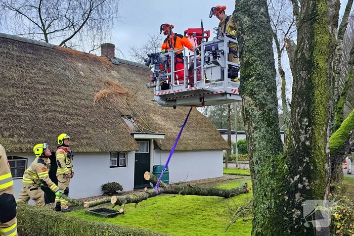 natuur fred bantinglaan bennekom