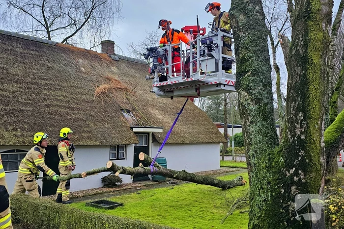 Boom tegen monumentale boerderij