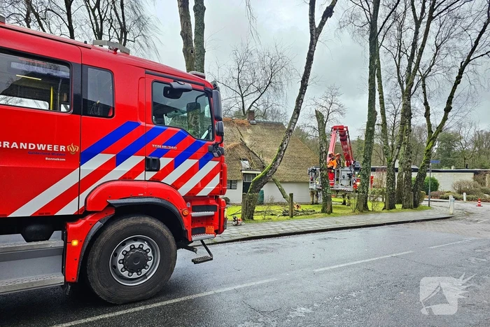 Boom tegen monumentale boerderij
