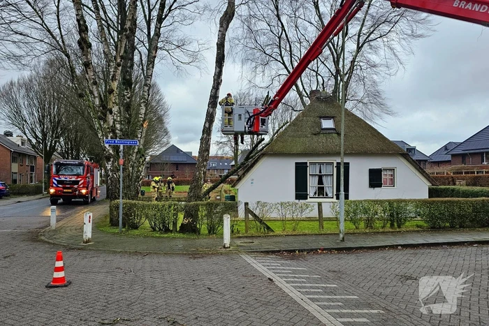 Boom tegen monumentale boerderij