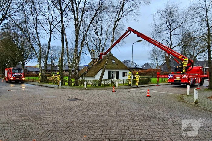 Boom tegen monumentale boerderij