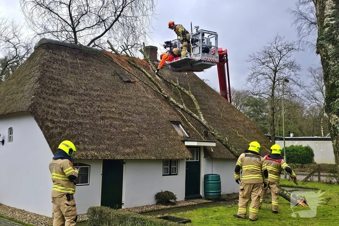 Boom tegen monumentale boerderij