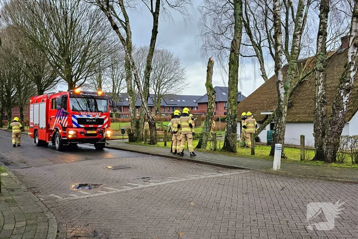 Boom tegen monumentale boerderij