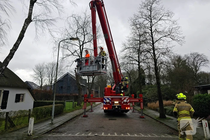Boom tegen monumentale boerderij