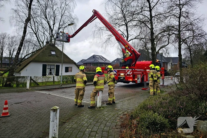 Boom tegen monumentale boerderij