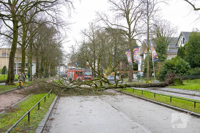 natuur 's-gravelandseweg hilversum