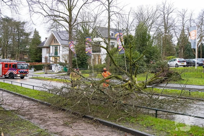 Lantaarnpaal geknakt door omgewaaide boom