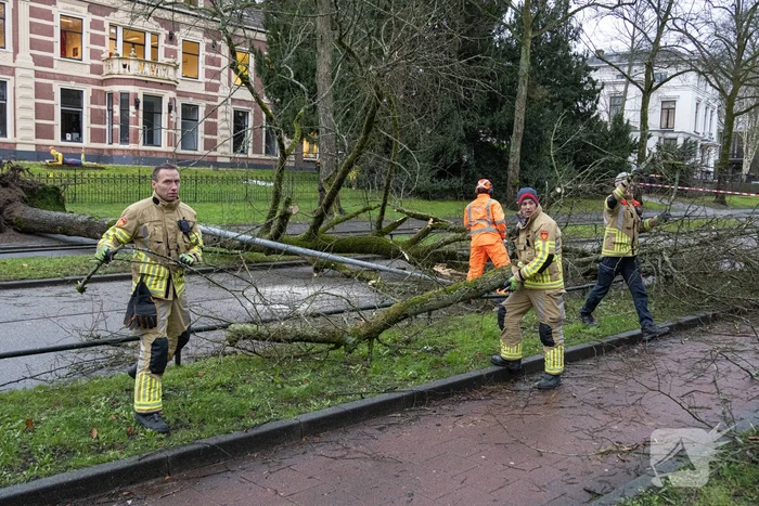 Lantaarnpaal geknakt door omgewaaide boom
