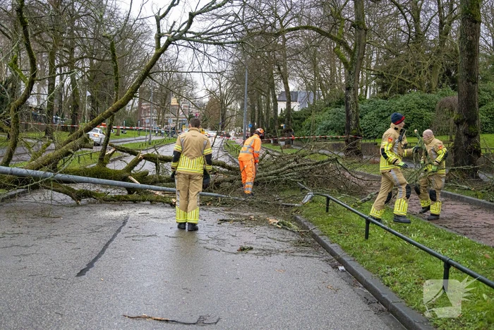 Lantaarnpaal geknakt door omgewaaide boom
