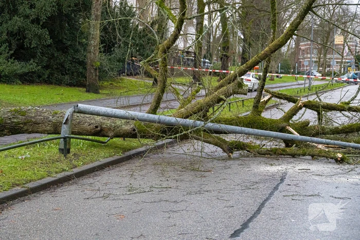 Lantaarnpaal geknakt door omgewaaide boom