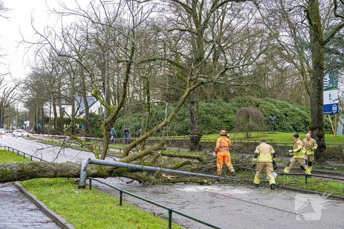 Lantaarnpaal geknakt door omgewaaide boom