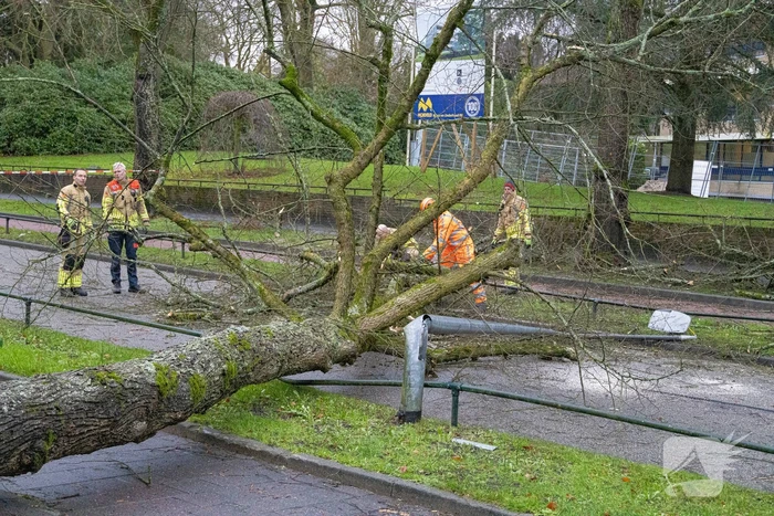 Lantaarnpaal geknakt door omgewaaide boom