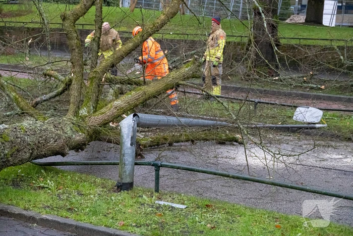Lantaarnpaal geknakt door omgewaaide boom