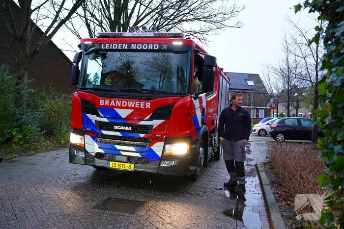 Boom valt om belandt op boot