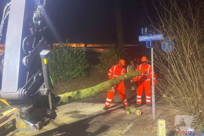 Grote boom blokkeert voetpad