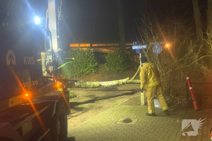 Grote boom blokkeert voetpad