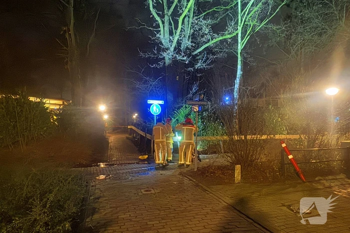 Grote boom blokkeert voetpad