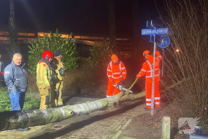 Grote boom blokkeert voetpad