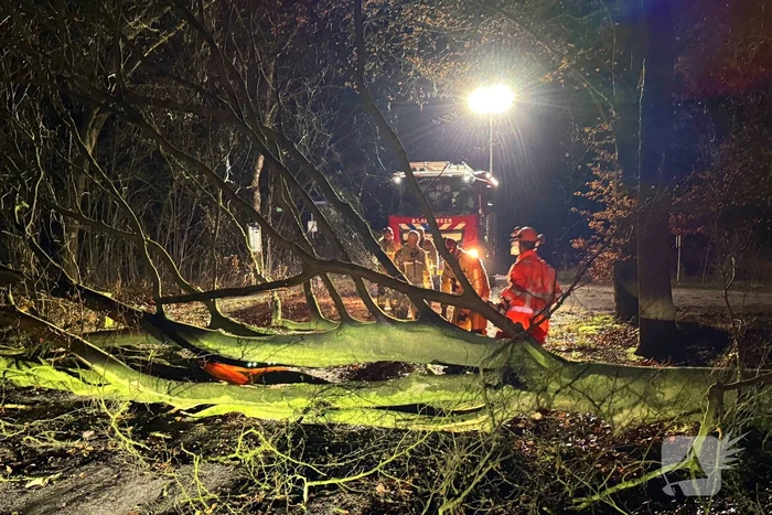 Boom blokkeert weg, brandweer maakt rijbaan vrij