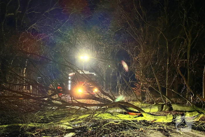 Boom blokkeert weg, brandweer maakt rijbaan vrij