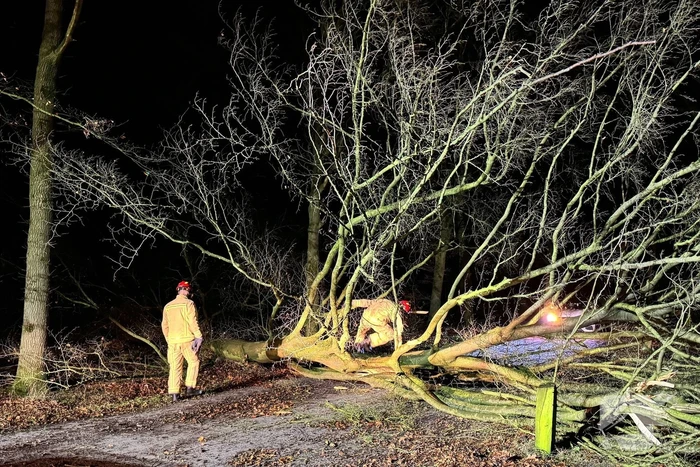 Boom blokkeert weg, brandweer maakt rijbaan vrij