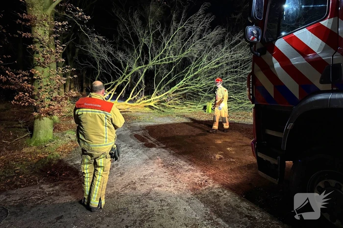 Boom blokkeert weg, brandweer maakt rijbaan vrij