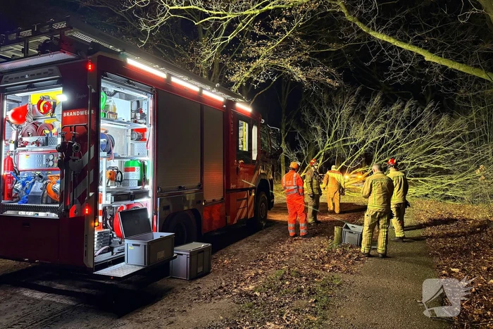 Boom blokkeert weg, brandweer maakt rijbaan vrij