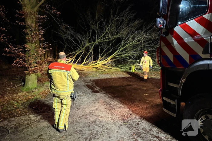 Boom blokkeert weg, brandweer maakt rijbaan vrij