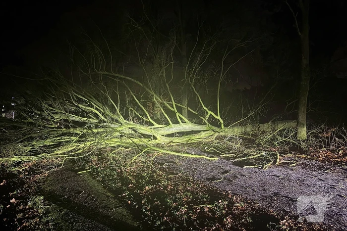 Boom blokkeert weg, brandweer maakt rijbaan vrij