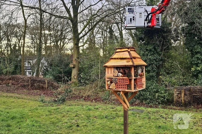 Gevaarlijk hangende tak over drukke wandelroute verwijderd