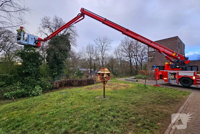 Gevaarlijk hangende tak over drukke wandelroute verwijderd