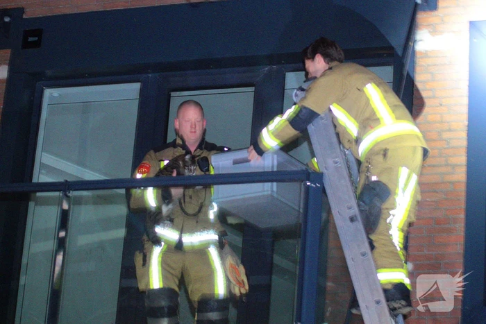 Kat weer herenigd met eigenaar nadat brandweer in actie komt
