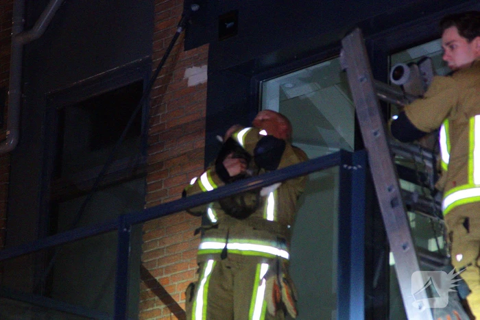 Kat weer herenigd met eigenaar nadat brandweer in actie komt