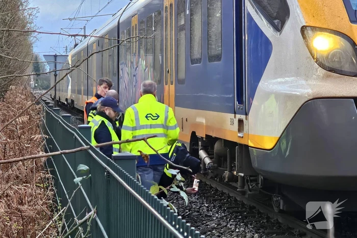 Passagierstrein en voertuig botsen op spoorwegovergang