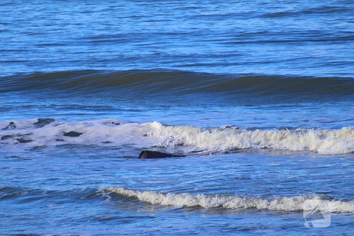 Vat met mogelijk chloorgas aangetroffen op strand