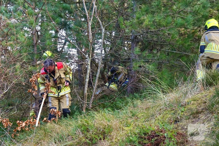 Brand in bosschage snel onder controle