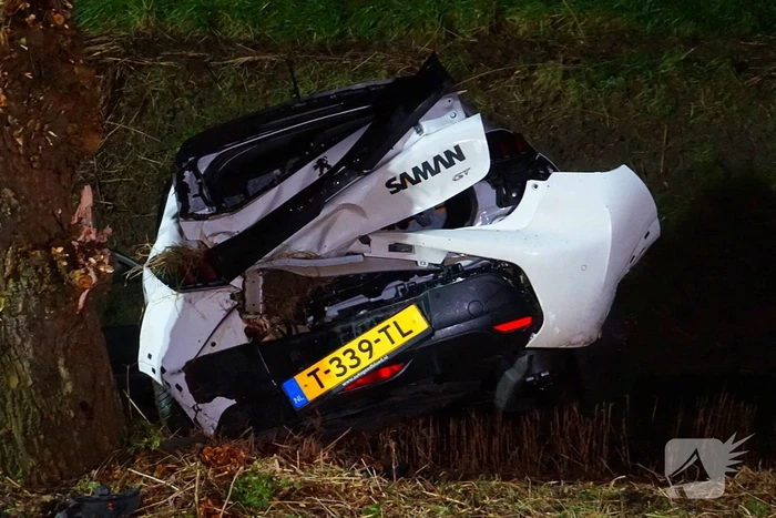Automobilist klapt op boom