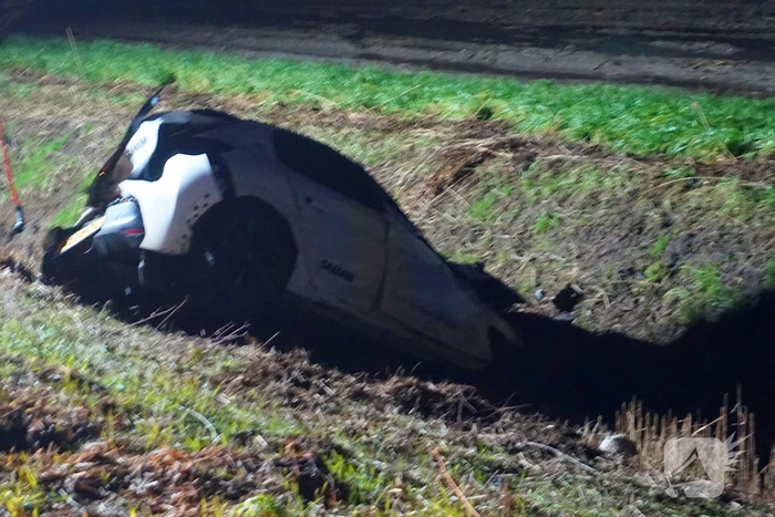 Automobilist klapt op boom