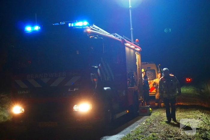 Automobilist klapt op boom