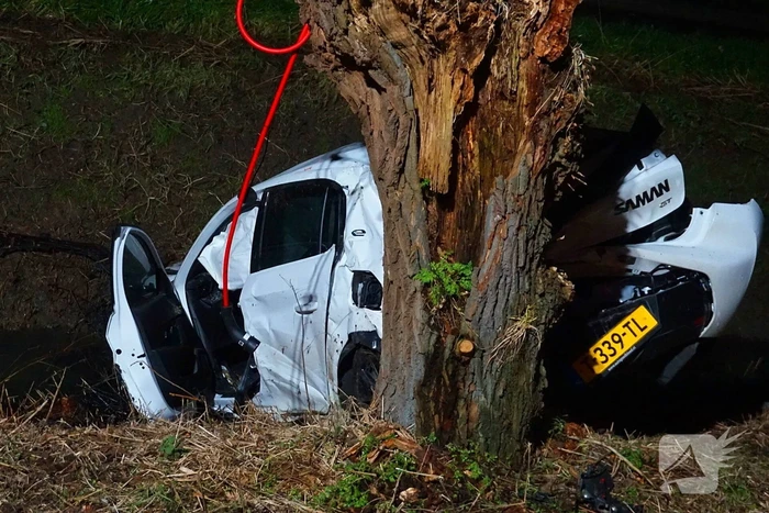Automobilist klapt op boom