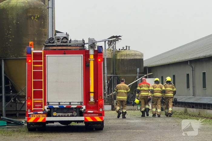 Brandweer ingezet voor dier in nood