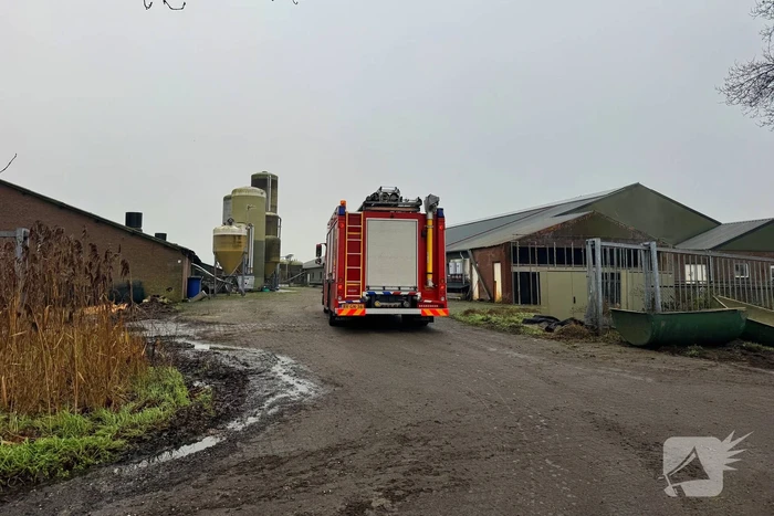 Brandweer ingezet voor dier in nood