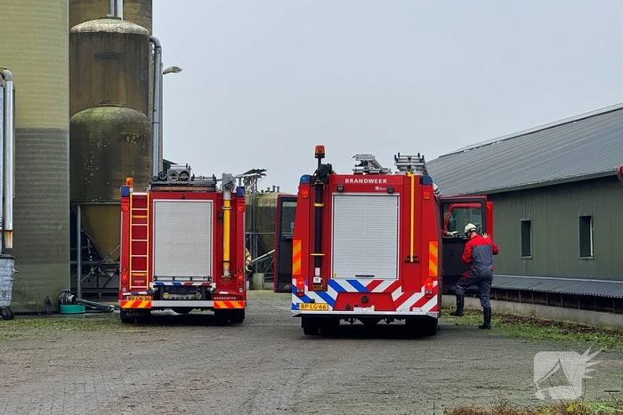 Brandweer ingezet voor dier in nood